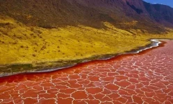 99316348_large_natron_lake__1_.webp