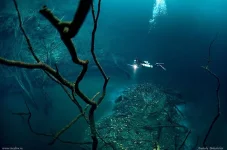 river-under-ocean6.webp