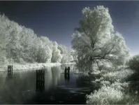 c24bdae89477.webp