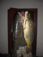 2014 402.webp