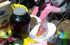 IMAG0421.webp