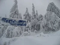 длло.webp