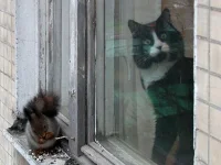 Bm0Se6gCIAExZBV-Д.webp
