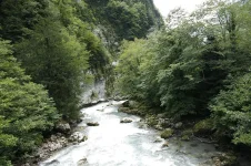 _MG_2345.webp