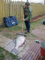 GSkF2lrjX1c.webp