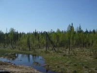DSCF4994.webp
