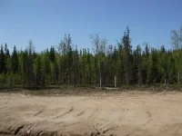 DSCF4995.webp