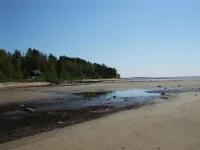 DSCF5035.webp