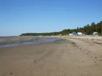 DSCF5036.webp