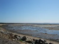DSCF5048.webp