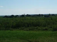 DSCF5073.webp
