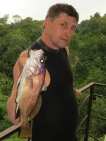 горбыль сырой.webp