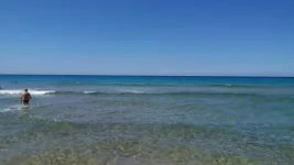 P_20140724_114203.webp