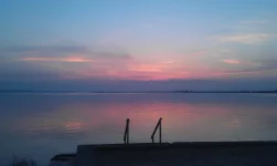 IMAG1749.webp
