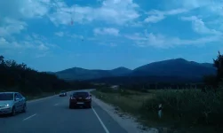 IMAG2208.webp