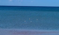 IMAG2033.webp