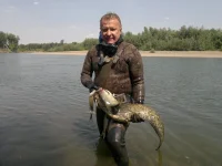 2014-08-09-1183.webp