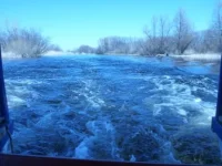 P1320301.webp