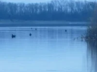P1320340.webp