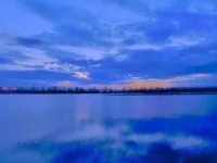 P1320357.webp