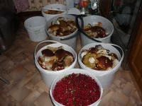 image (1).webp