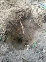 20140907_142649_thumb.webp