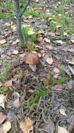20140913_154306.webp