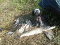 20140810_100420.webp