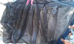 IMAG2762.webp