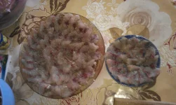 IMAG2741.webp