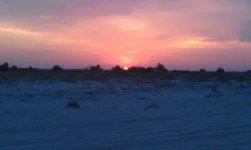 IMAG2631.webp
