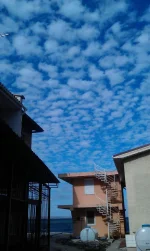 IMAG2820.webp