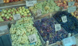 IMAG2467.webp
