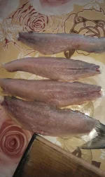 IMAG2739.webp