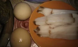 IMAG2746.webp