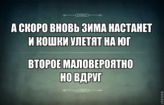 1413769503_95.webp