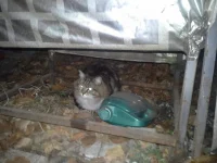 20141029_204234.webp