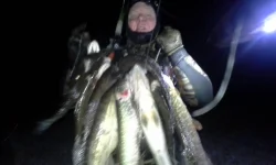 20141103_004854.webp