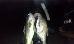 20141103_002727.webp