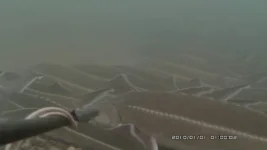 clip_image001.webp
