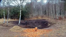 Скриншот 04.12.2014 163119.webp