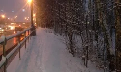 1418271975492.webp