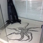 IMG-20141212-WA0000.webp