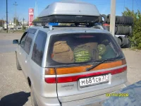 SS1021115.webp