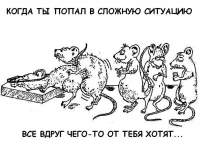 мышиn.webp