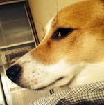 IMG-20140905-WA0000.webp