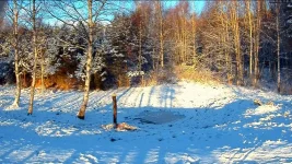 Скриншот 25.12.2014 120141.webp