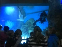 IMG_20150110_152944_199.webp