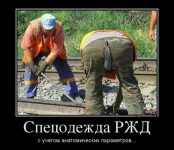 5d690761e213.webp