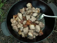 PICT0102.webp